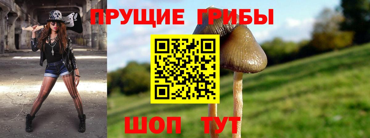 Псилоцибиновые грибы мухоморы  Галлюциногенные грибы мицелий  Торжок  закладка  Вход с VPN 